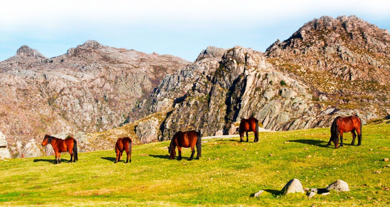 CALM, QUIET AND BEAUTIFULL